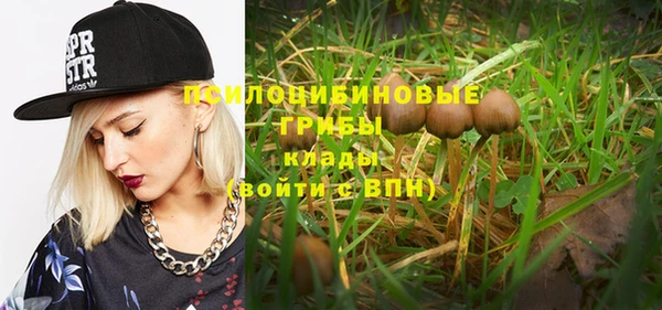 стафф Бронницы