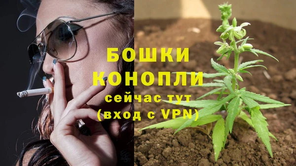 стафф Бронницы