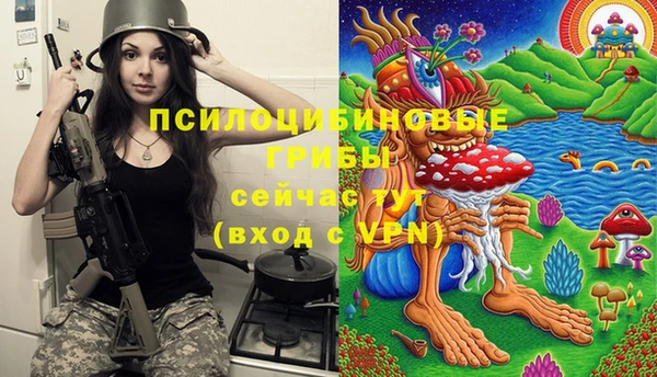 стафф Бронницы